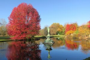 Arboretum Autumn view Arboretum Autumn view